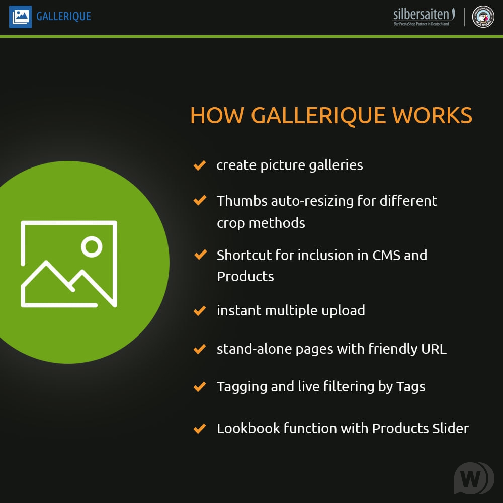 1587027255_gallerique-image-gallery.jpg