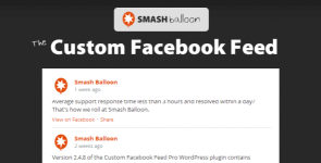 Custom Facebook Feed Pro Smash.png