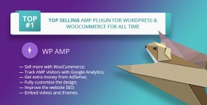 WP AMP.jpg