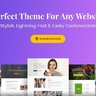 Astra Theme