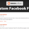 Custom Facebook Feed Pro Smash