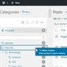 WordPress Real Category Management