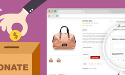YITH WooCommerce Donations